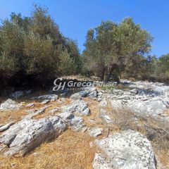 Οικόπεδο 32.000 τ.μ. για πώληση, Εύβοια, Δύστος-thumb-16