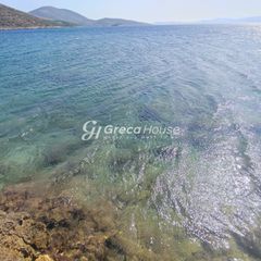 Οικόπεδο 32.000 τ.μ. για πώληση, Εύβοια, Δύστος-thumb-17