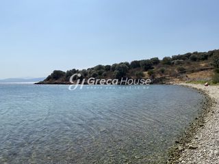 Οικόπεδο 32.000 τ.μ. για πώληση, Εύβοια, Δύστος-thumb-11