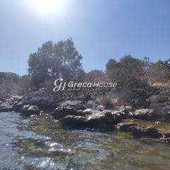 Οικόπεδο 32.000 τ.μ. για πώληση, Εύβοια, Δύστος-thumb-6