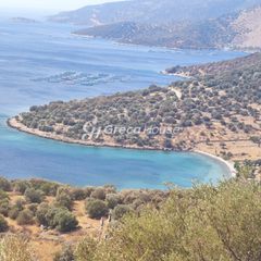 Οικόπεδο 32.000 τ.μ. για πώληση, Εύβοια, Δύστος-thumb-20