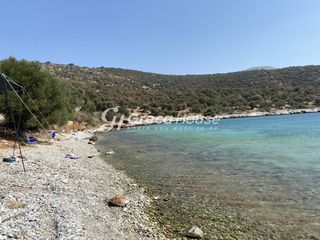 Οικόπεδο 32.000 τ.μ. για πώληση, Εύβοια, Δύστος-thumb-5