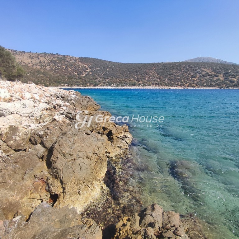 Οικόπεδο 32.000 τ.μ. πρός πώληση, Εύβοια, Δύστος