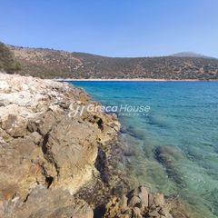 Οικόπεδο 32.000 τ.μ. για πώληση, Εύβοια, Δύστος-thumb-3