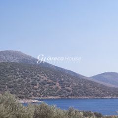 Οικόπεδο 32.000 τ.μ. για πώληση, Εύβοια, Δύστος-thumb-23