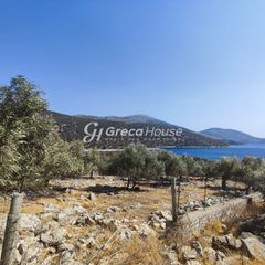 Οικόπεδο 32.000 τ.μ. για πώληση, Εύβοια, Δύστος-thumb-12