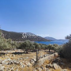 Οικόπεδο 32.000 τ.μ. για πώληση, Εύβοια, Δύστος-thumb-22