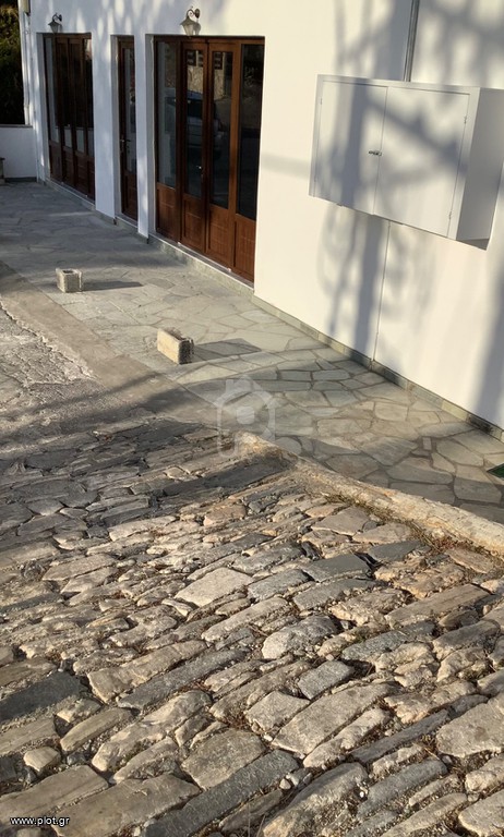 Κατάστημα 198 τ.μ. προς ενοικίαση, Μαγνησία, Μηλιές