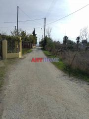 Αγροτεμάχια 400 τ.μ. για πώληση