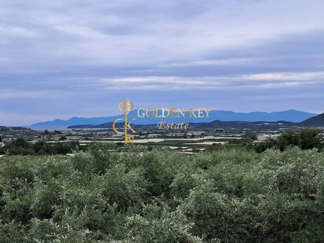 Land plot 2.000sqm for sale-Eleitheres » Center
