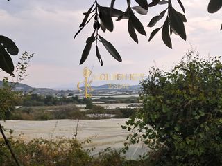 Οικόπεδο 2.705 τ.μ. για πώληση, Ν. Καβάλας, Ελευθερές-thumb-5