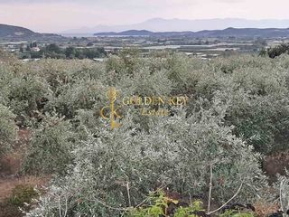 Οικόπεδο 2.705 τ.μ. για πώληση, Ν. Καβάλας, Ελευθερές-thumb-3