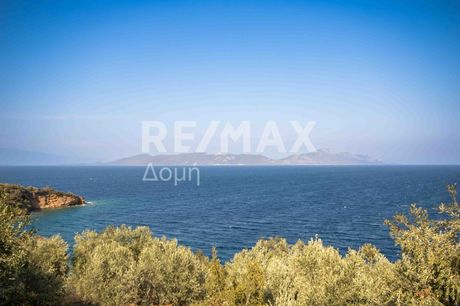 Parcel 3.379sqm for sale-Pteleos » Pigadi