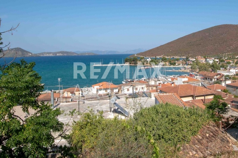 Οικόπεδο 217 τ.μ. προς πώληση, Μαγνησία, Πτελεός
