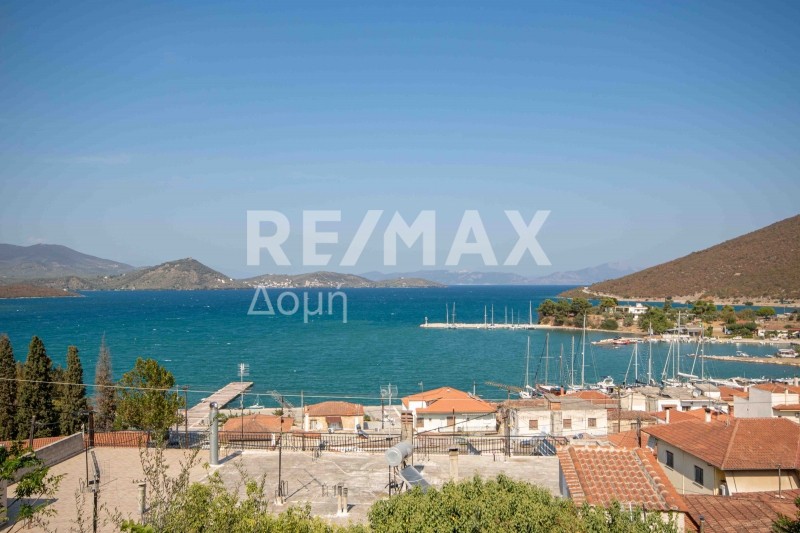 Οικόπεδο 217 τ.μ. προς πώληση, Μαγνησία, Πτελεός