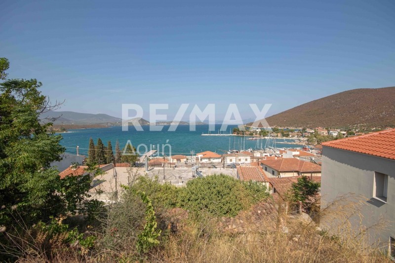 Οικόπεδο 217 τ.μ. προς πώληση, Μαγνησία, Πτελεός