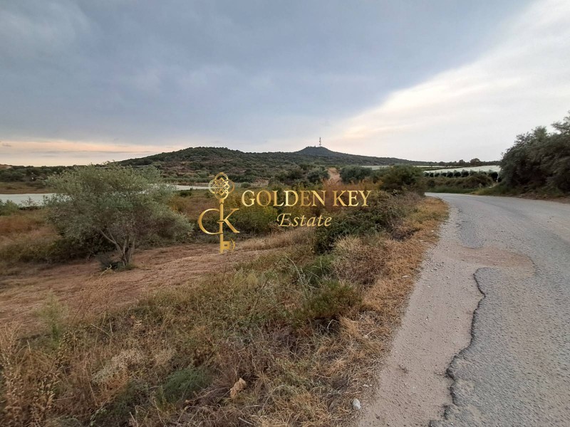 Αγροτεμάχια 4.375 τ.μ. για πώληση, Ν. Καβάλας, Ελευθερές