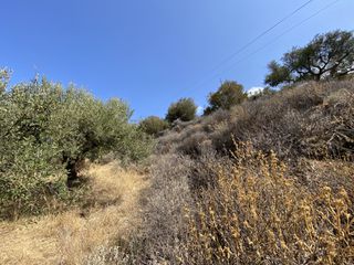 Οικόπεδο 2.770 τ.μ. για πώληση, Ν. Λασιθίου, Σητεία-thumb-12