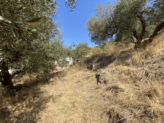 Οικόπεδο 2.770 τ.μ. για πώληση, Ν. Λασιθίου, Σητεία-thumb-3