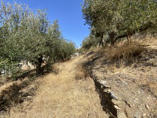 Οικόπεδο 2.770 τ.μ. για πώληση, Ν. Λασιθίου, Σητεία-thumb-8