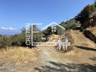 Αγροτεμάχια 20.611 τ.μ. για πώληση, Ν. Λασιθίου, Σητεία-thumb-2