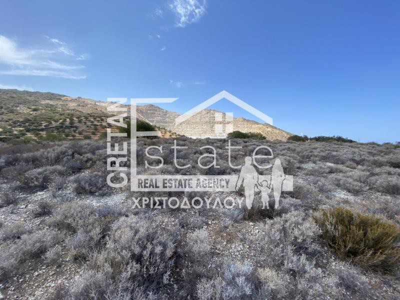 Αγροτεμάχια 20.611 τ.μ. προς πώληση, Μόχλος