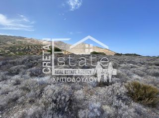 Αγροτεμάχια 20.611 τ.μ. για πώληση, Ν. Λασιθίου, Σητεία-thumb-4