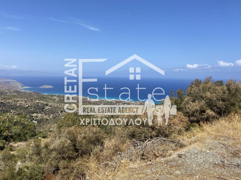 Αγροτεμάχια 20.611 τ.μ. προς πώληση, Μόχλος
