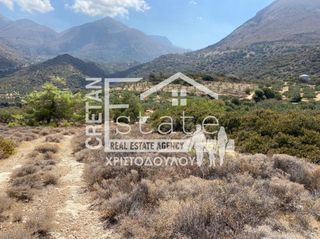 Αγροτεμάχια 20.611 τ.μ. για πώληση, Ν. Λασιθίου, Σητεία-thumb-18