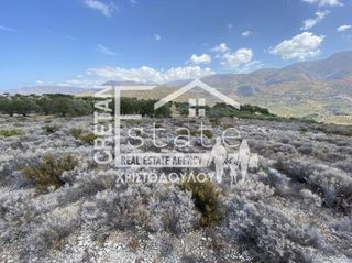 Αγροτεμάχια 20.611 τ.μ. για πώληση, Ν. Λασιθίου, Σητεία-thumb-7