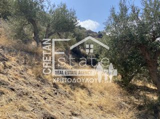 Αγροτεμάχια 20.611 τ.μ. για πώληση, Ν. Λασιθίου, Σητεία-thumb-3