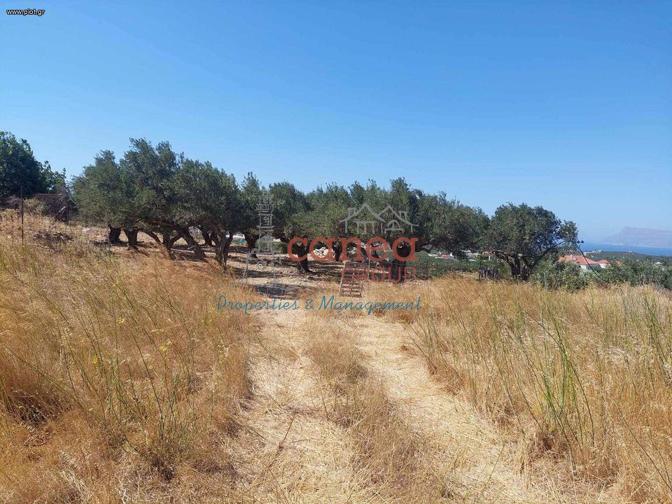 Οικόπεδο 637 τ.μ. προς πώληση, Πλάτανος Κισσάμου