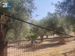 Αγροτεμάχια 9.500 τ.μ. για πώληση, Αχαΐα, Παραλία-thumb-6