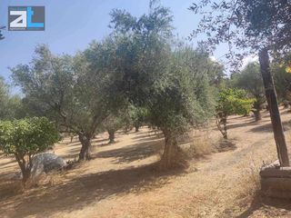 Αγροτεμάχια 9.500 τ.μ. για πώληση, Αχαΐα, Παραλία-thumb-1