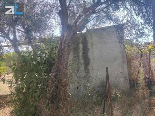 Αγροτεμάχια 9.500 τ.μ. για πώληση, Αχαΐα, Παραλία-thumb-9