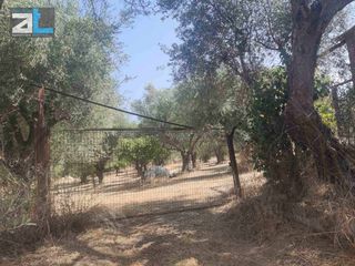 Αγροτεμάχια 9.500 τ.μ. για πώληση, Αχαΐα, Παραλία-thumb-11