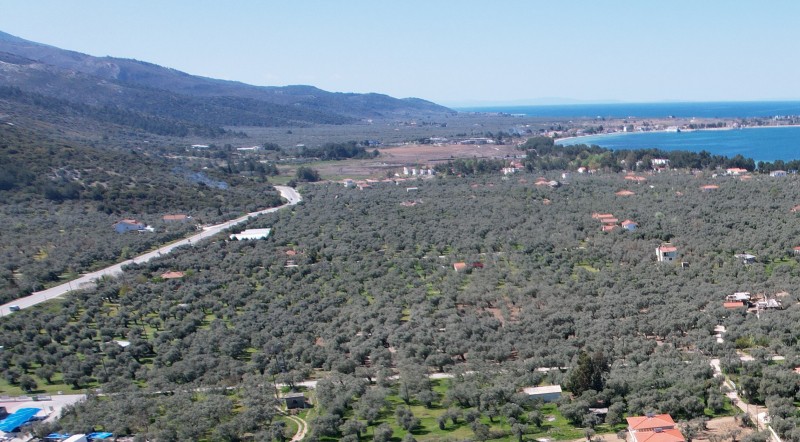 Αγροτεμάχια 4.010 τ.μ. για πώληση, Ν. Καβάλας, Θάσος