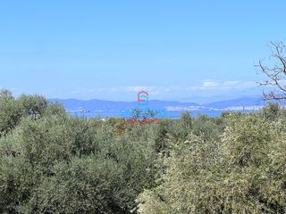 Μονοκατοικία 70 τ.μ. για πώληση, Ν. Καβάλας, Θάσος-thumb-14
