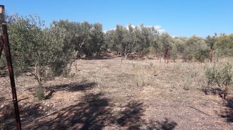 Οικόπεδο 350 τ.μ. για πώληση