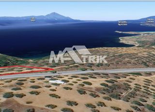 Αγροτεμάχια 4.486 τ.μ. για πώληση
