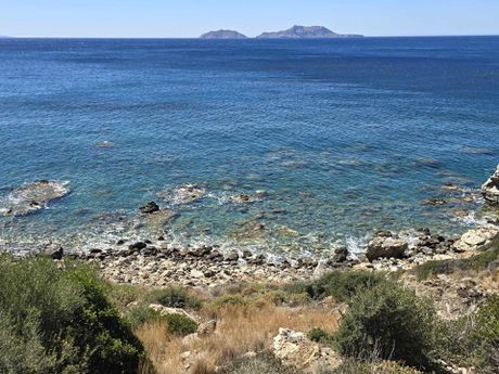 Αγροτεμάχια 9.963τ.μ. για πώληση-Λάμπη » Άγιος παύλος