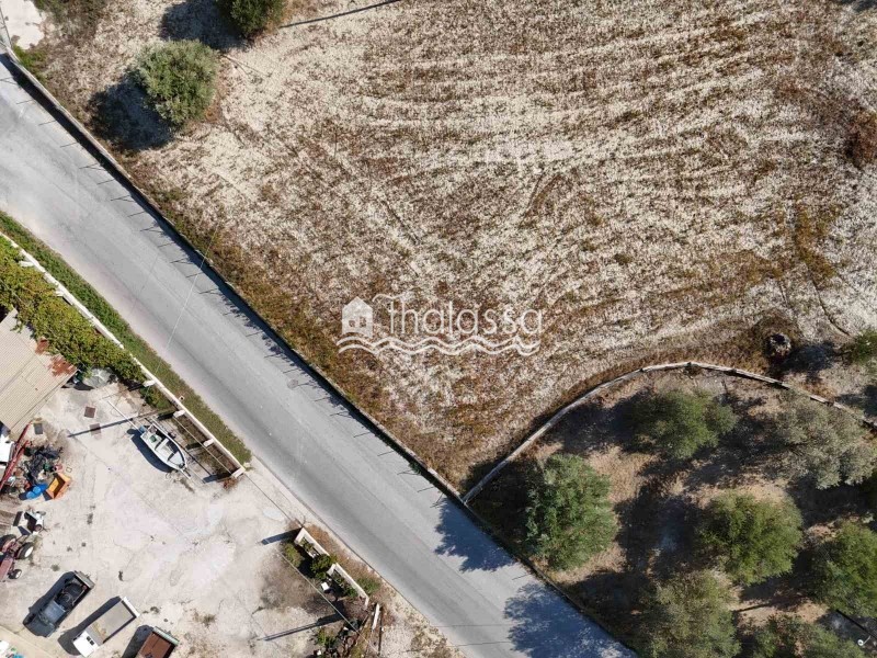 Οικόπεδο 3.000 τ.μ. πρός πώληση, Ν. Κεφαλονιάς, Κεφαλονιά