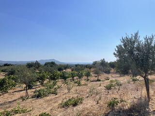 Οικόπεδο 6.340 τ.μ. για πώληση, Μεσσηνία, Χιλιοχώρια-thumb-7