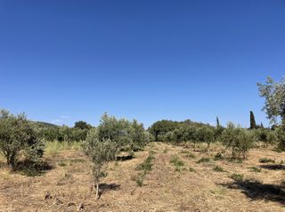 Οικόπεδο 6.340 τ.μ. για πώληση, Μεσσηνία, Χιλιοχώρια-thumb-11