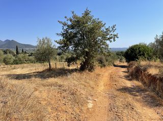 Οικόπεδο 6.340 τ.μ. για πώληση, Μεσσηνία, Χιλιοχώρια-thumb-3
