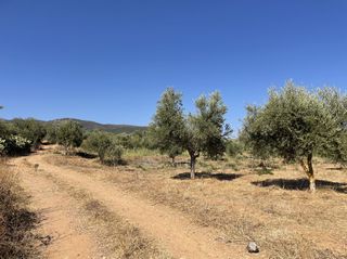 Οικόπεδο 6.340 τ.μ. για πώληση, Μεσσηνία, Χιλιοχώρια-thumb-14