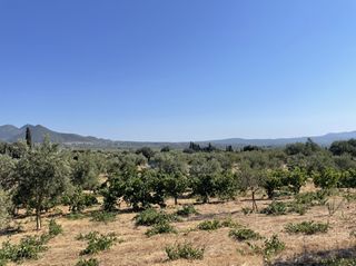 Οικόπεδο 6.340 τ.μ. για πώληση, Μεσσηνία, Χιλιοχώρια-thumb-6