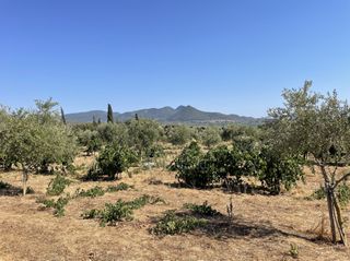 Οικόπεδο 6.340 τ.μ. για πώληση, Μεσσηνία, Χιλιοχώρια-thumb-2
