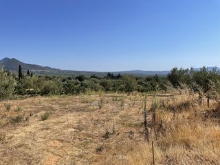 Οικόπεδο 6.340 τ.μ. για πώληση, Μεσσηνία, Χιλιοχώρια-thumb-1