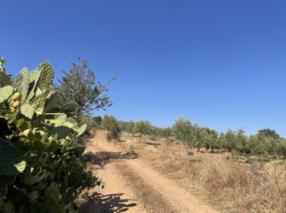 Οικόπεδο 6.340 τ.μ. για πώληση, Μεσσηνία, Χιλιοχώρια-thumb-16